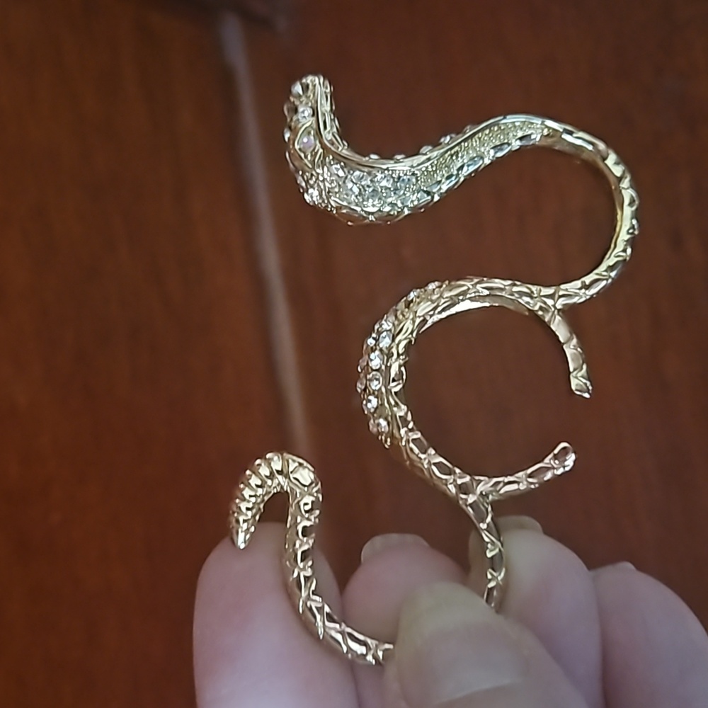 Serpeant Ring.